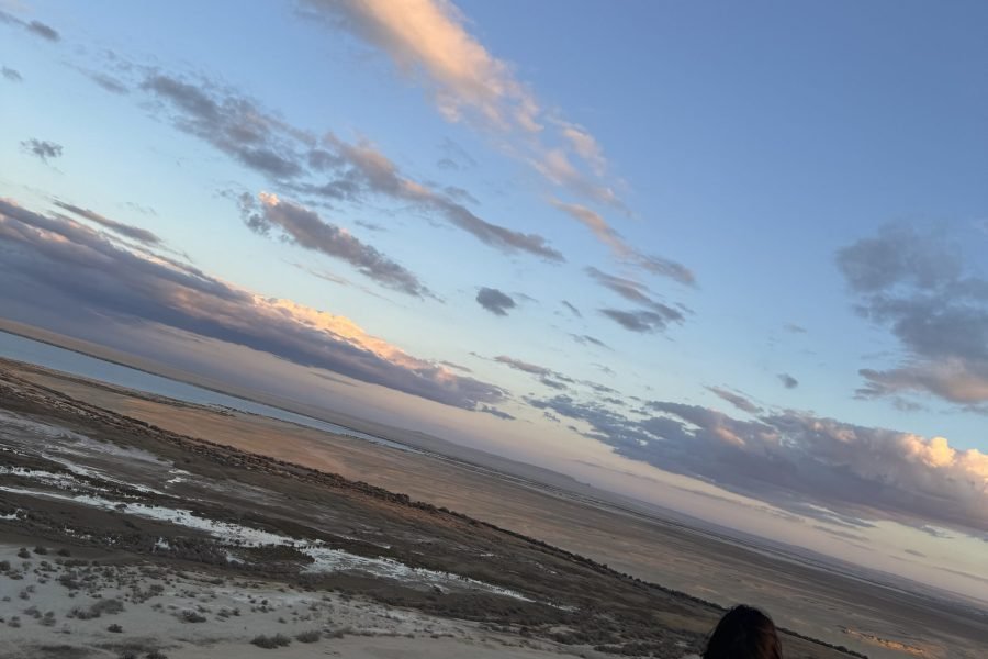 1 Nights 2 Days at Fayoum from Cairo ( 4 x 4 Safari & Quad Bike )