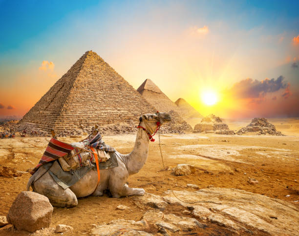 plan a trip to Egypt